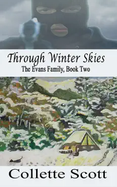 through winter skies book cover image
