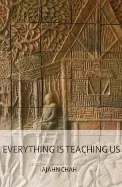 everything is teaching us book cover image