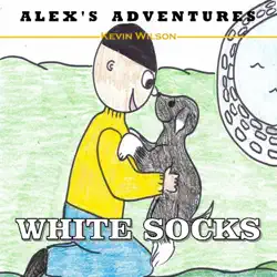 white socks book cover image