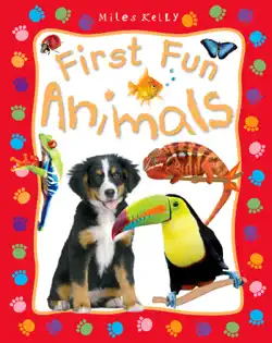 first fun animals book cover image