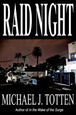 raid night book cover image