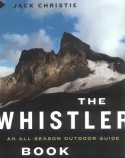 the whistler book book cover image