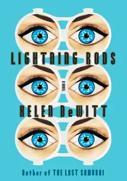 lightning rods book cover image