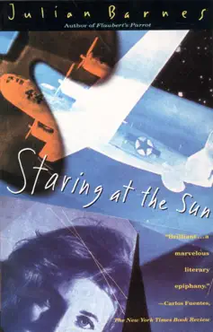 staring at the sun book cover image