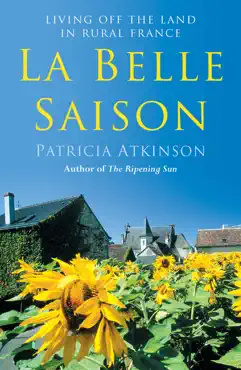 la belle saison book cover image