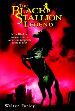 the black stallion legend book cover image
