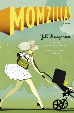 momzillas book cover image
