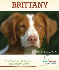 brittany book cover image