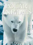 Polar Animals synopsis, comments
