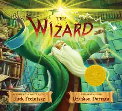 the wizard book cover image