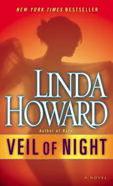 veil of night book cover image
