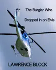 The Burglar Who Dropped In On Elvis synopsis, comments