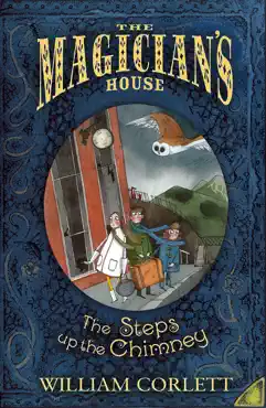 the steps up the chimney imagen de la portada del libro