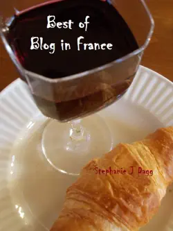 best of blog in france book cover image
