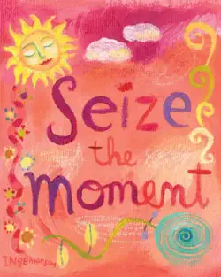 seize the moment book cover image