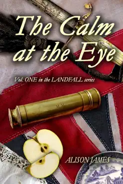 the calm at the eye book cover image