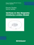 Vortices in the Magnetic Ginzburg-Landau Model synopsis, comments
