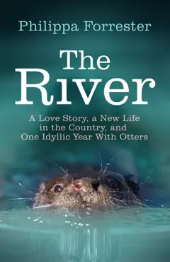 the river book cover image