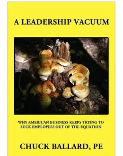 leadership vacuum book cover image