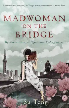madwoman on the bridge and other stories book cover image