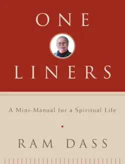 one-liners book cover image