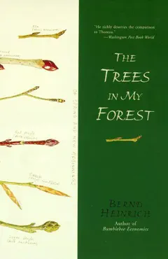 the trees in my forest book cover image
