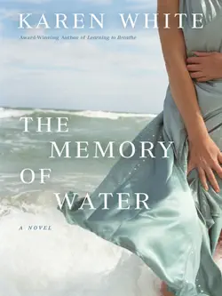the memory of water book cover image
