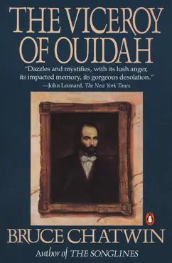 the viceroy of ouidah book cover image