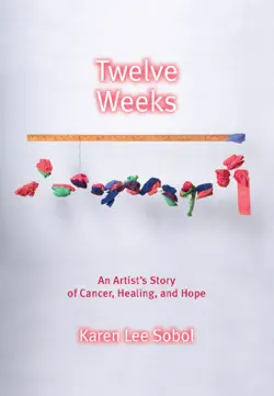twelve weeks book cover image