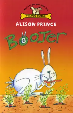 boojer book cover image