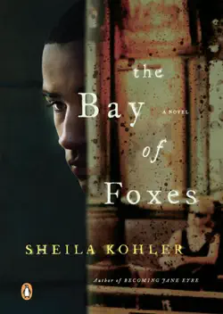 the bay of foxes imagen de la portada del libro