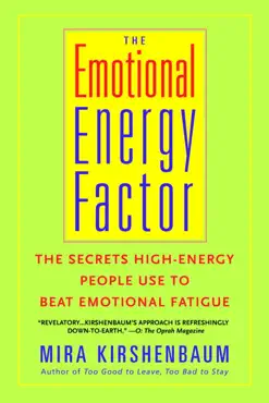 the emotional energy factor book cover image