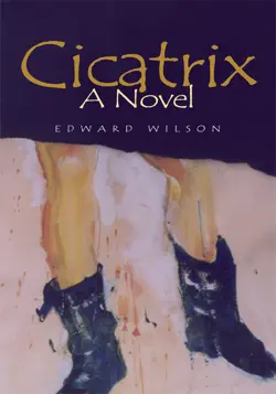 cicatrix book cover image