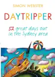 Daytripper synopsis, comments