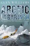 Arctic Labyrinth sinopsis y comentarios