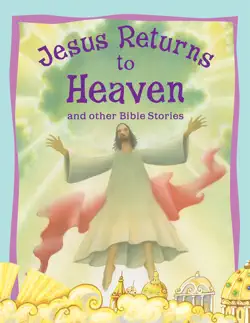 jesus returns to heaven and other bible stories book cover image
