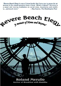 revere beach elegy book cover image