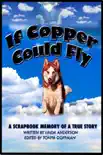 If Copper Could Fly a true story synopsis, comments