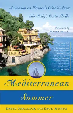 mediterranean summer book cover image