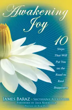 awakening joy book cover image