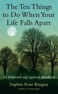 the ten things to do when your life falls apart book cover image