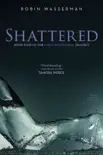 Shattered synopsis, comments