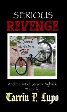serious revenge book cover image