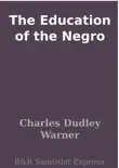 The Education of the Negro sinopsis y comentarios