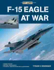 F-15 Eagle at War synopsis, comments
