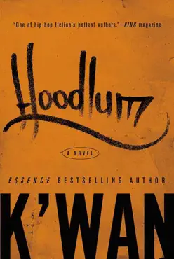 hoodlum book cover image