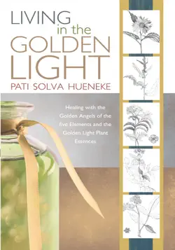 living in the golden light book cover image