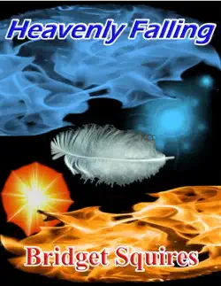 heavenly falling book cover image