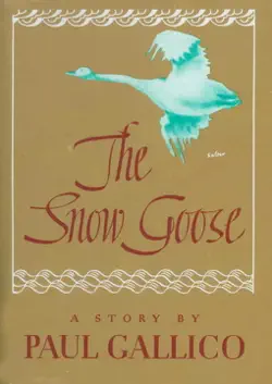 snow goose book cover image