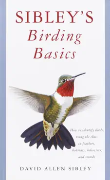 sibley's birding basics book cover image